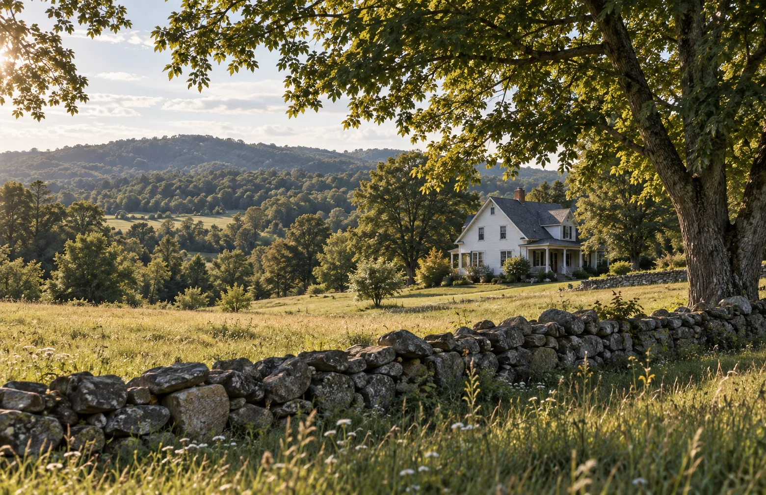 House in a wooded landscape