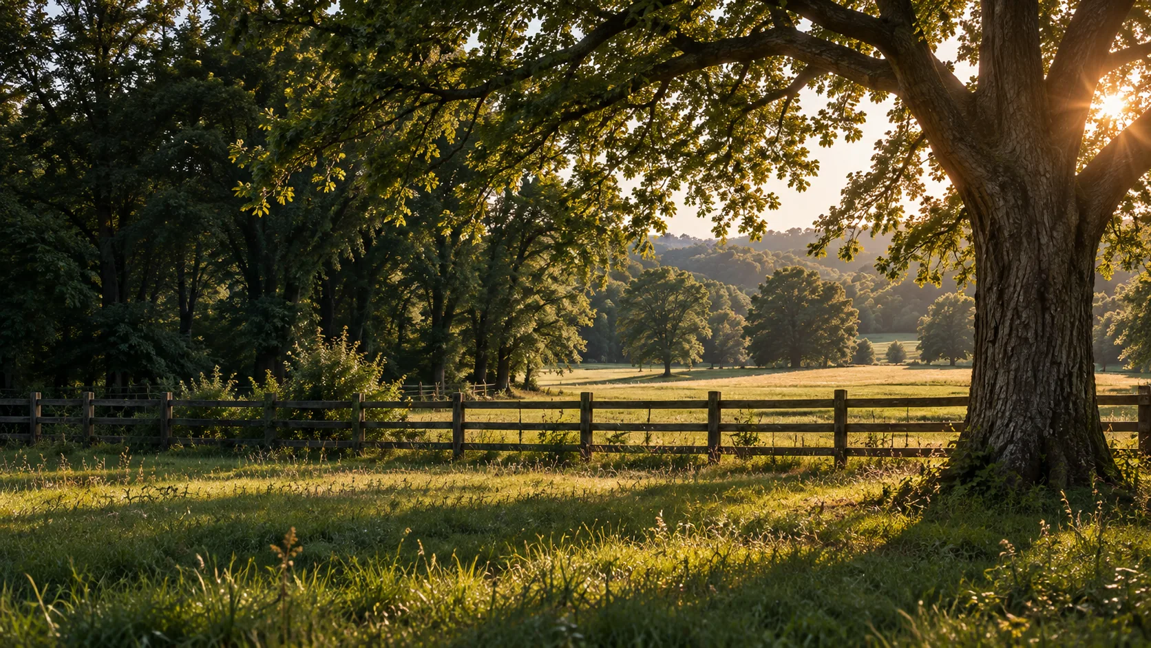 Pasture and rural home at dusk